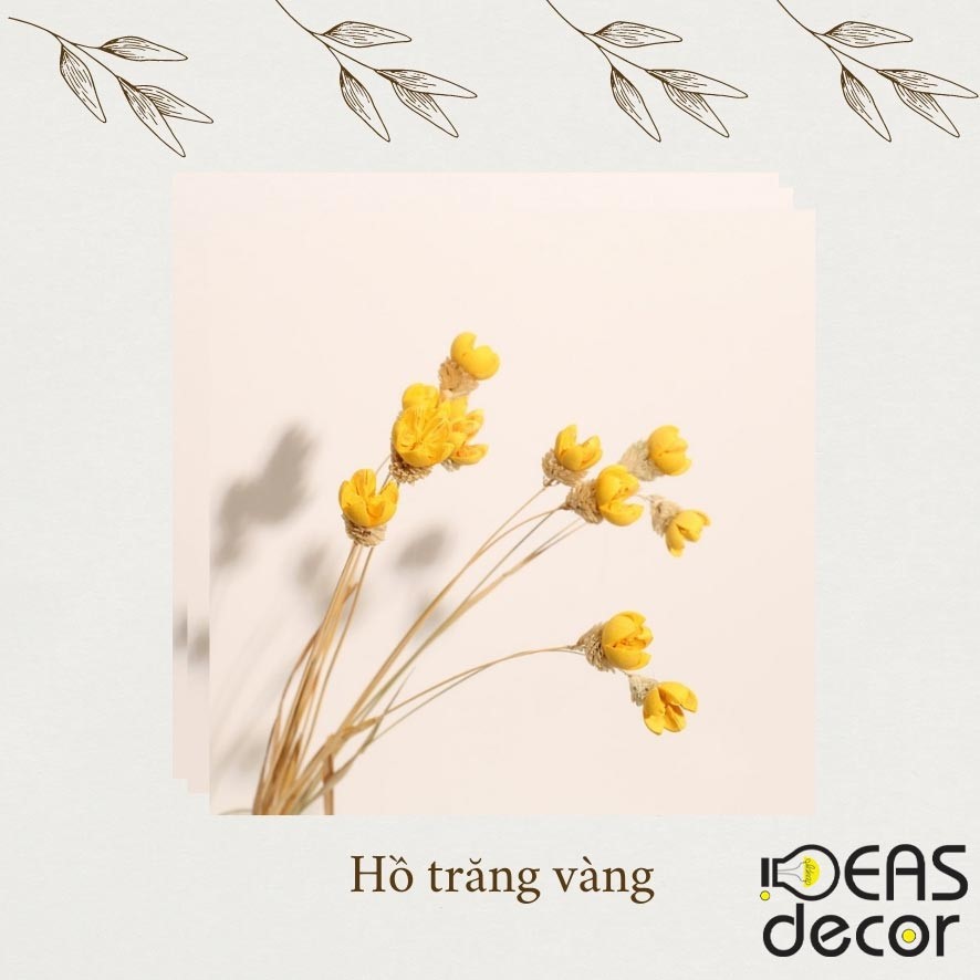 Hoa hồ trăng thanh nhã - Đạo cụ chụp ảnh cao cấp, trang trí nội thất phòng khách, cửa hàng - Ideas Decor