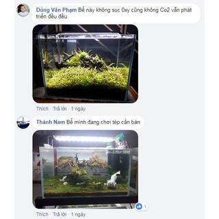 Đèn LED Jiyin