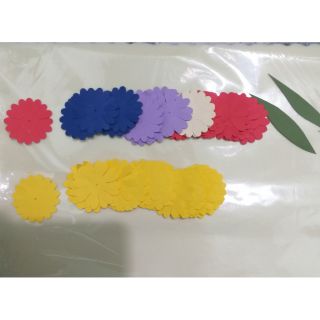 Set hoa cúc dán sẵn