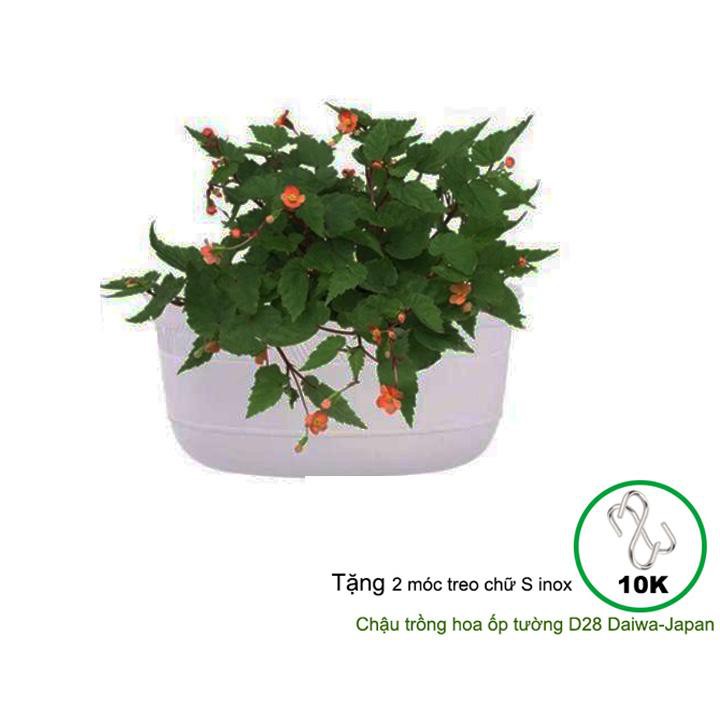Chậu nhựa trồng hoa Nhật Bản, Daiwa, D28xR16xC13cm, tặng kèm 2 móc inox, độ bền 5 năm |Greenhome