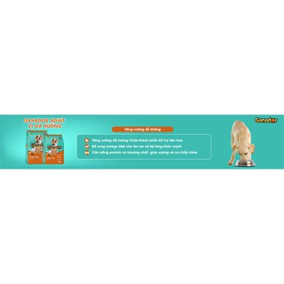 20 gói ganador GÀ NƯỚNG gói 400gr