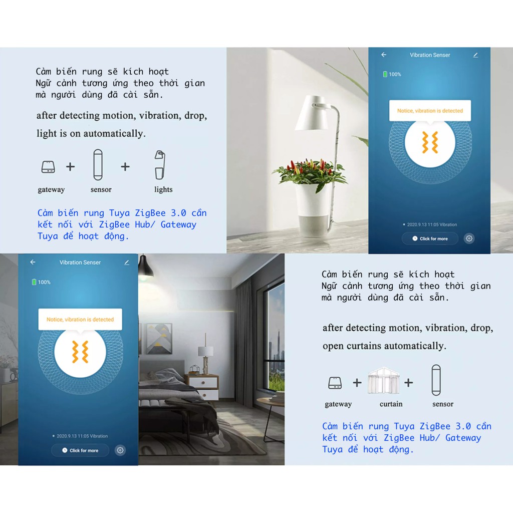 Cảm biến rung thuộc Hệ sinh thái Tuya, kết nối Zigbee 3.0