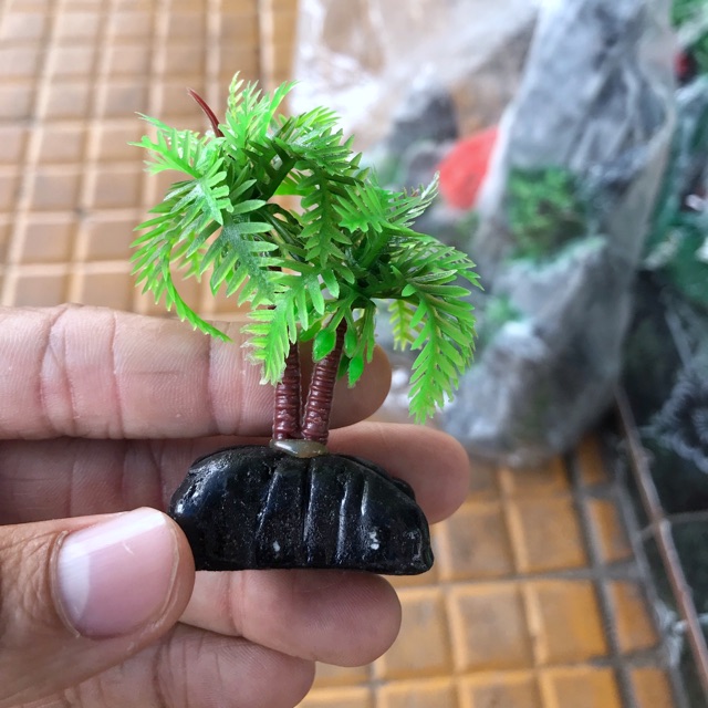 DỪA SIZE 3CM TRANG TRÍ HỒ CÁ NON BỘ