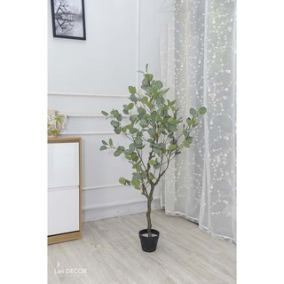 Cây bạch đàn trang trí cao 130cm - LC3050
