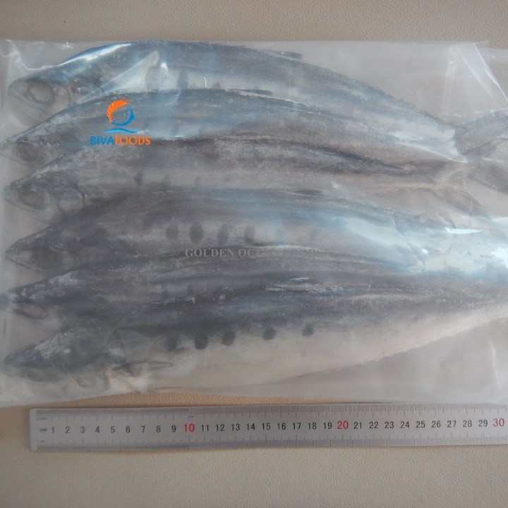 Khô Cá Bè Trang Nguyên Con 4-8 Con/1kg/Túi - Thực Phẩm BIỂN VÀNG | BigBuy360 - bigbuy360.vn