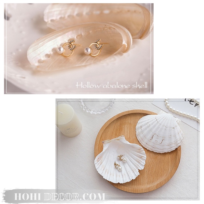 Vỏ Sò, Vỏ Ốc, San Hô Trang Trí Chụp Ảnh Trang Sức, Mỹ Phẩm - Shop Hohi Decor