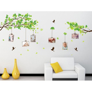 Decal Dán Tường Cành Cây Khung Ảnh