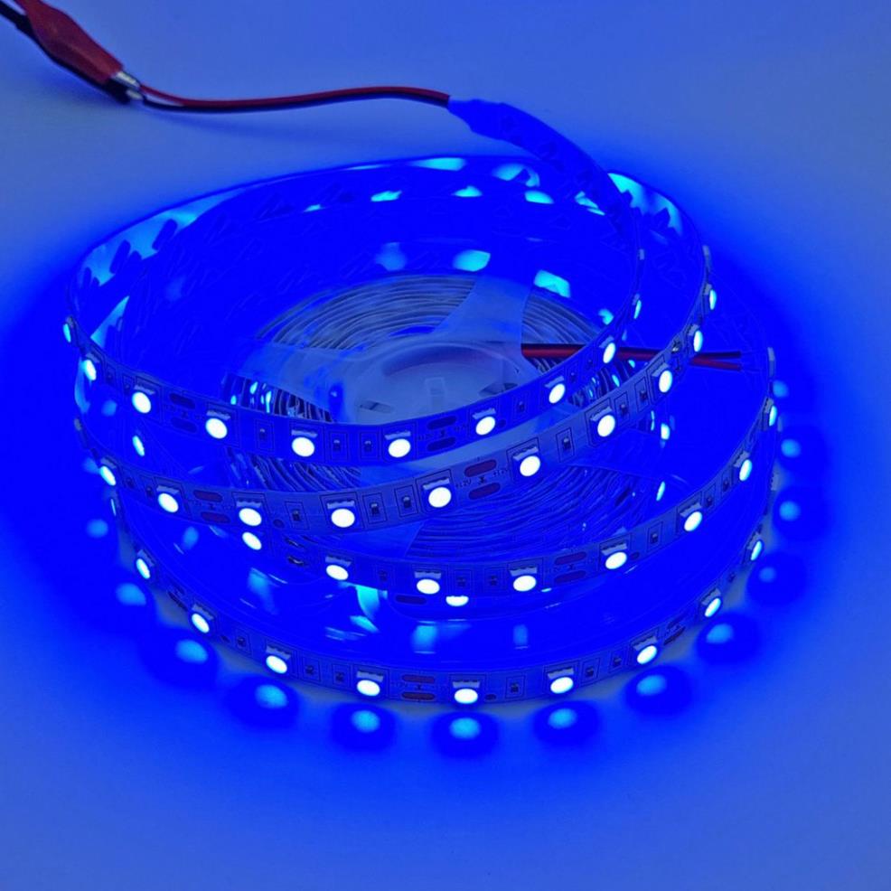 Led dây 5050 12V loại 1 mét 60 bóng không phủ epoxy màu xanh dương / màu hồng tím