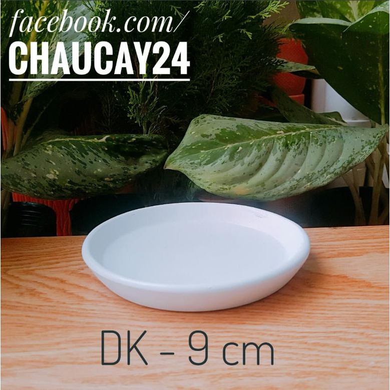 Dĩa lót chậu đất nung đường kính 9 cm trồng cây cảnh nội thất, sen đá, xương rồng, tiểu cảnh terrarium