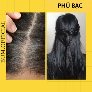 Thuốc nhuộm tóc phủ bạc màu thời trang | bum hair