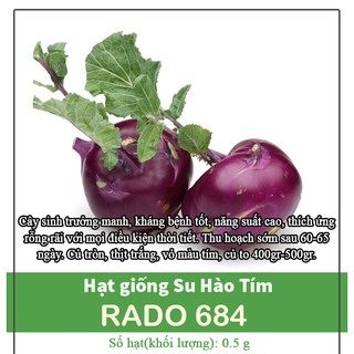 Hạt Giống Su Hào Tím Dễ Trồng, Sớm Thu Hoạch Sau 60-62 ngày