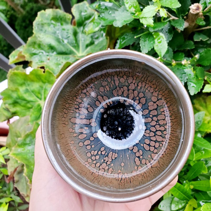 1 chén Thiên Mục Du Trích Giọt Dầu