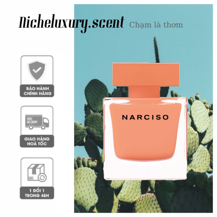 🅽🅸🅲🅷🅴 - Nước hoa Narciso Ambree - 10ml
