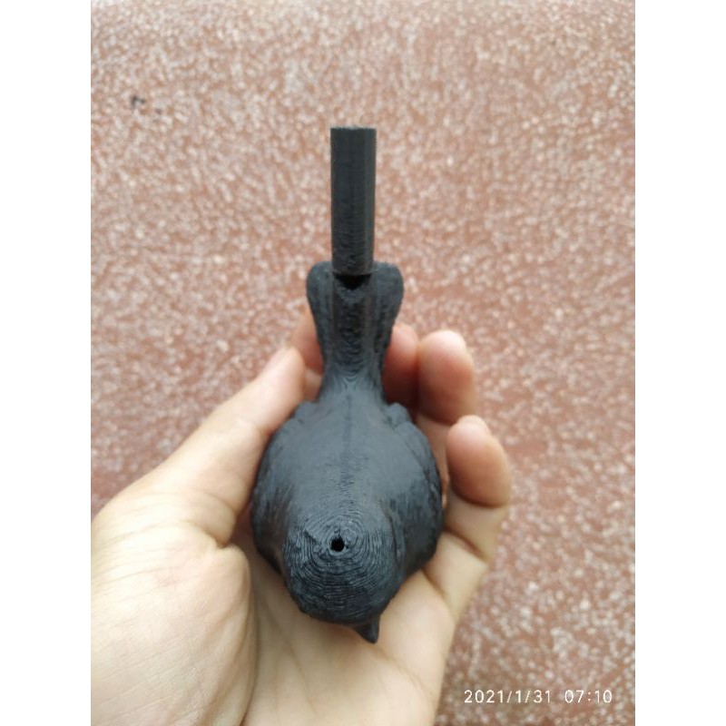 Sáo nước hình chim