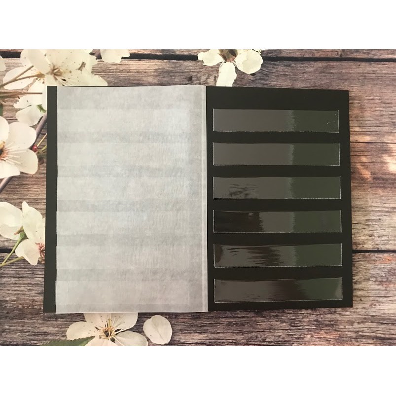 Album Lớn đựng 500 con Tem có phơi kèm sẵn của Việt Nam