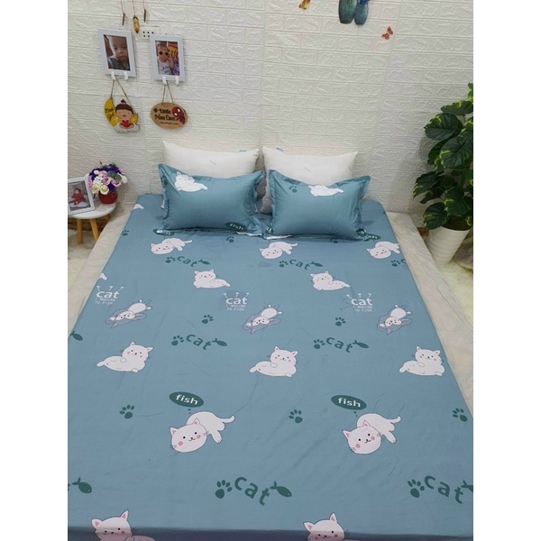 [SHIP HOẢ TỐC] bộ ga gối chun cotton