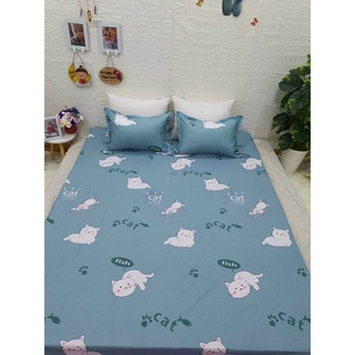 Bộ ga gối chun cotton