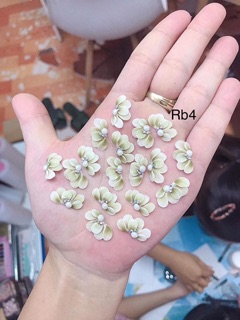 Hoa bột- cúc ruby - hoa đính móng