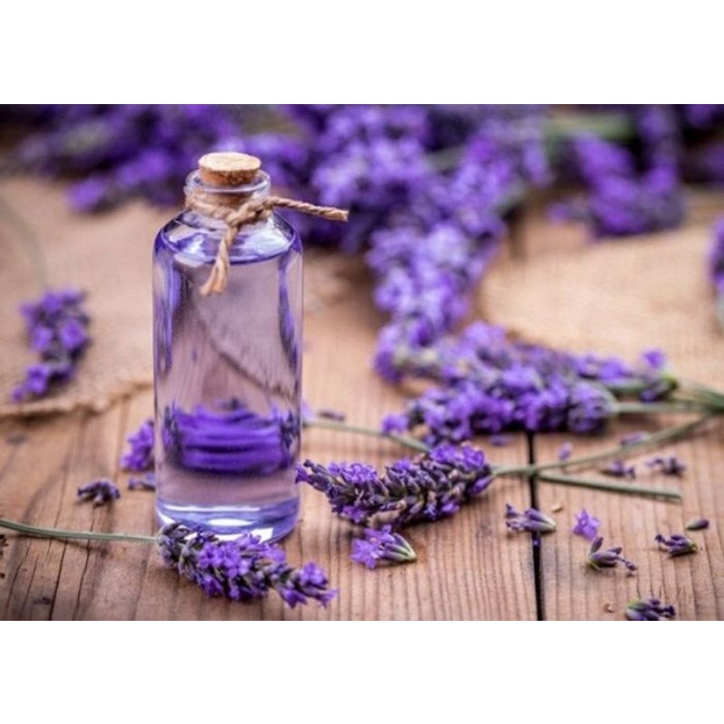 Tinh dầu hoa oải hương 10ml 100ml