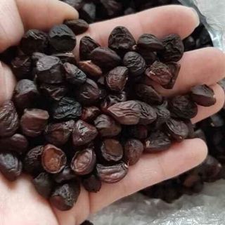 1kg hạt dổi nếp rừng