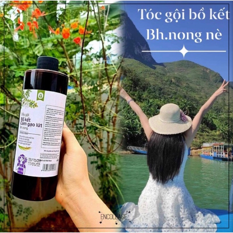 Dầu gội bồ kết thảo dược gừng Bhnong