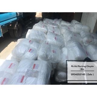 Combo 50 miếng tã quần trần cao cấp bbzone yoursun M50 L50 Xl50 XXl50 miếng