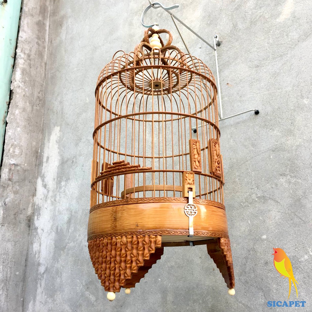Lồng chim khuyên đẹp, chim Sâu, Lồng chim vành khuyên đục đốt trúc đẹp, chim sâu SICAPET