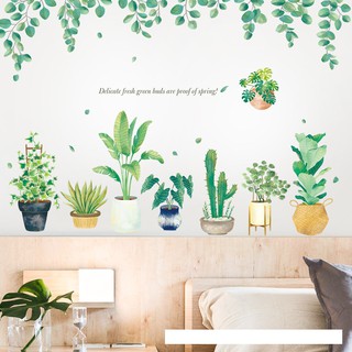 Decal dán tường chậu cây