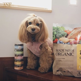 ANF - Thức Ăn Cho Chó túi lẻ 400g