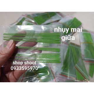 Nhụy mai đất sét( nhụy xanh non giữa bông hoa)