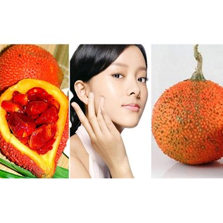 Dầu Gấc