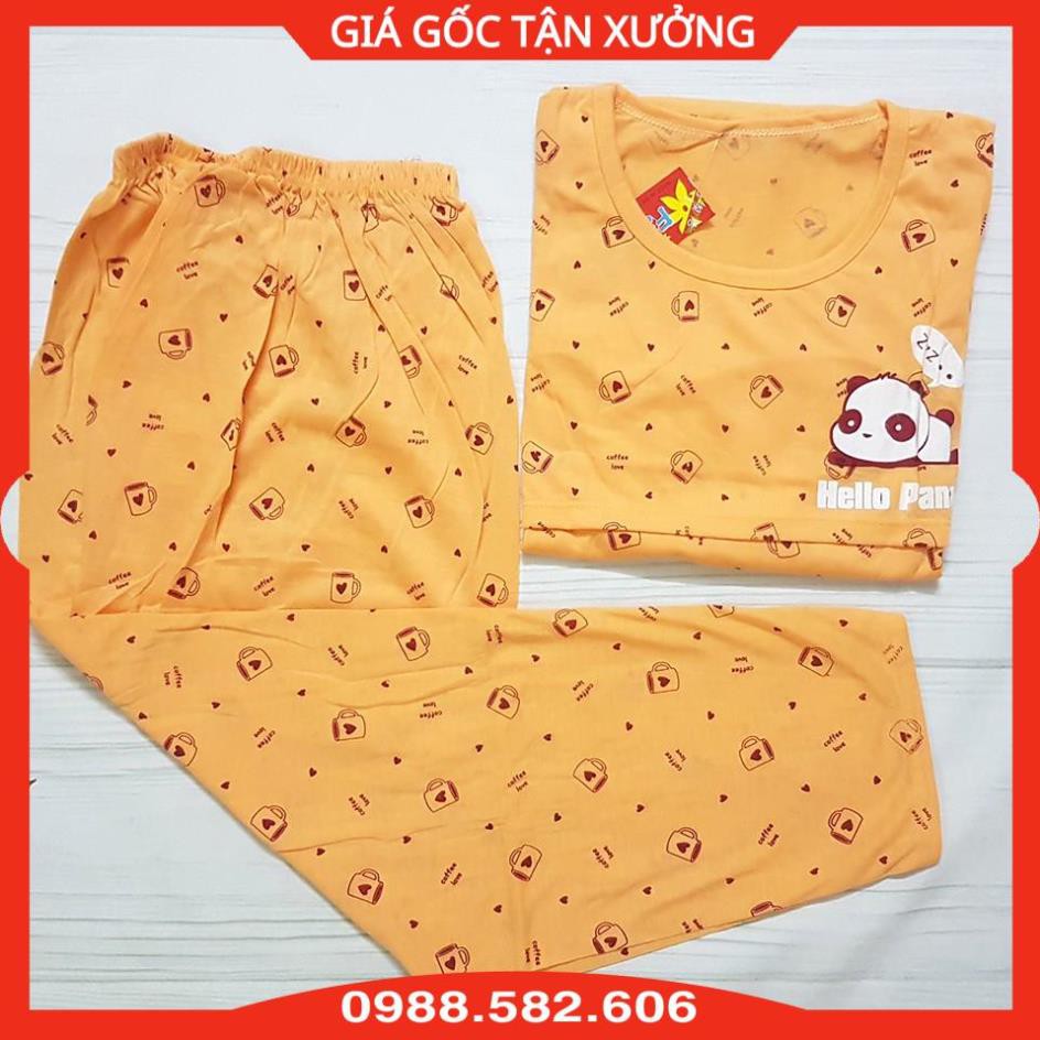 Bộ Sau Sinh Màu Chất Cotton Size Chung Cho Mẹ Dưới 65kg (Mẫu Giao Hàng Ngẫu Nhiên)