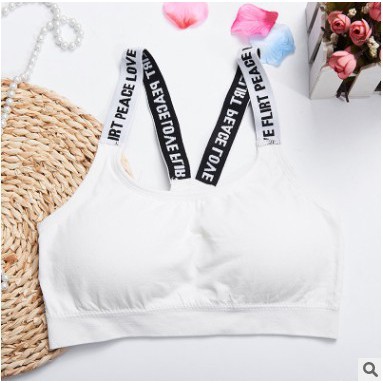 Áo Bra Cotton Thể Thao, Áo Lót Nữ Dây Chữ Tậo Gym - Yoga - 1102