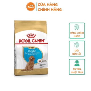Hạt cho chó - Royal canin poodle puppy chó con