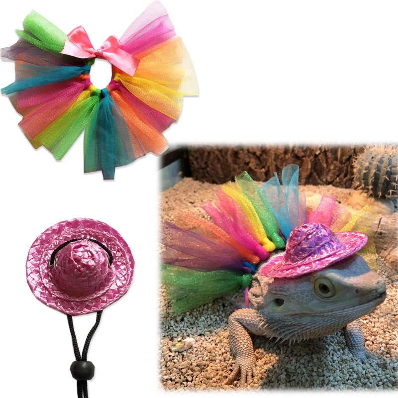 Bộ Váy Tutu + Mũ Mini Hóa Trang Dự Tiệc Cho Thú Cưng