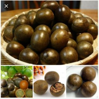 500gr Quả la hán ( quả trường thọ )