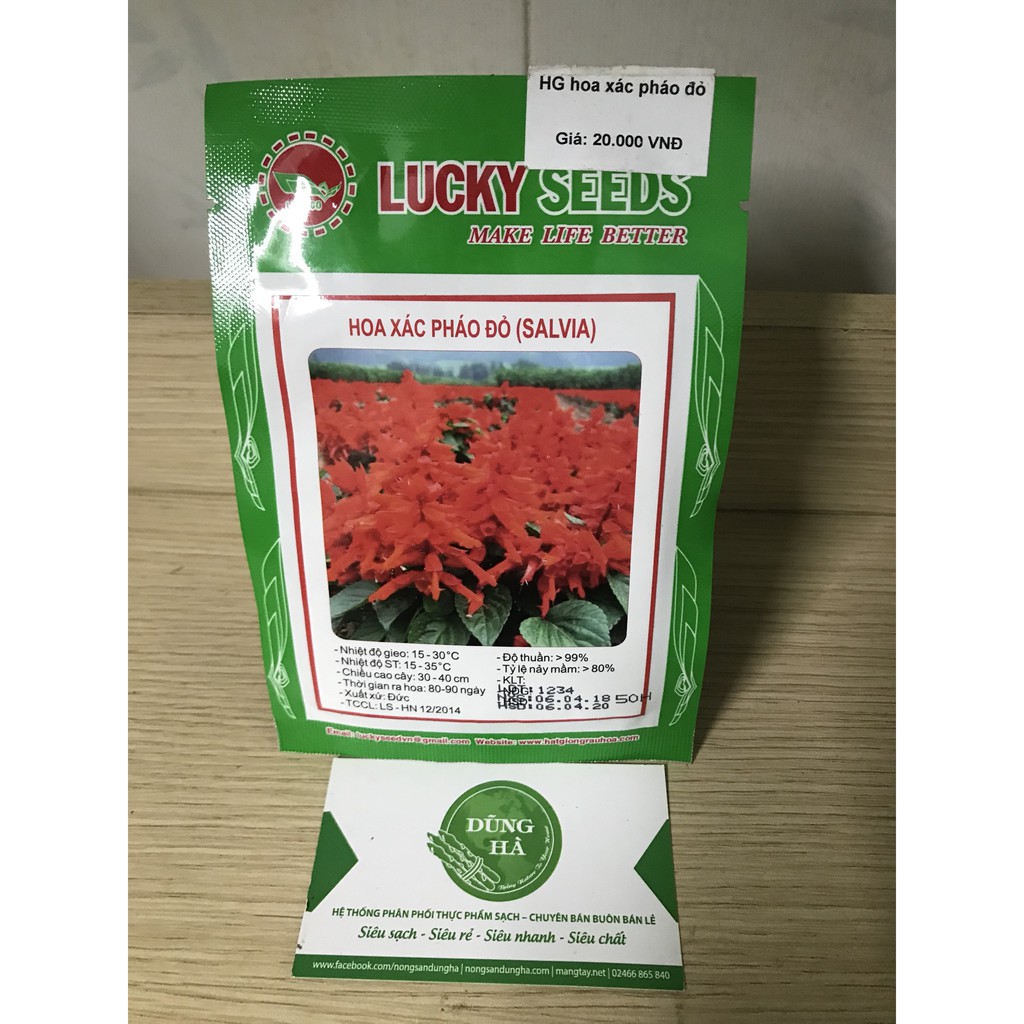 Hạt giống hoa xác pháo đỏ gói 50 hạt