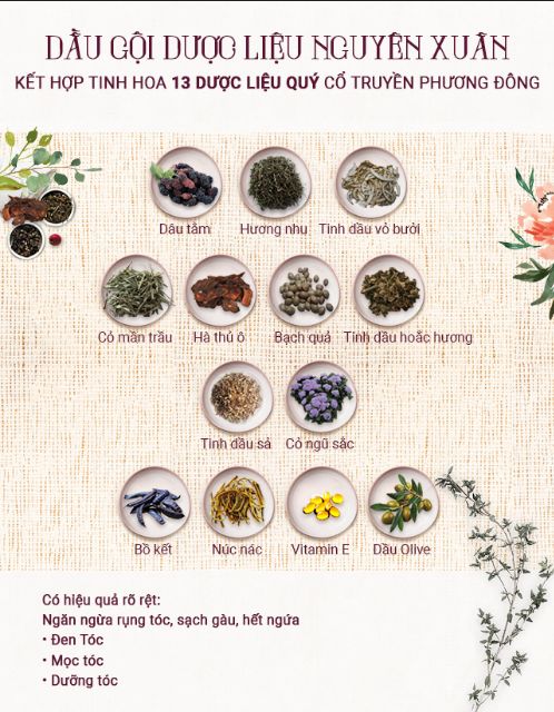 Combo 6 chai Dầu Gội dược liệu Nguyên Xuân dưỡng tóc : 200ml