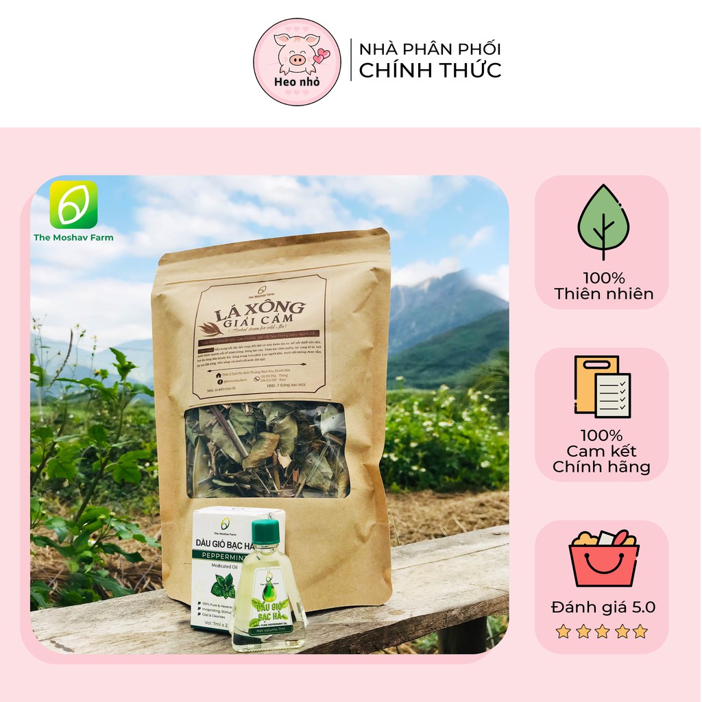 Combo 3 - Bảo vệ sức khoẻ gồm dầu gió bạc hà và lá xông The Moshav Farm