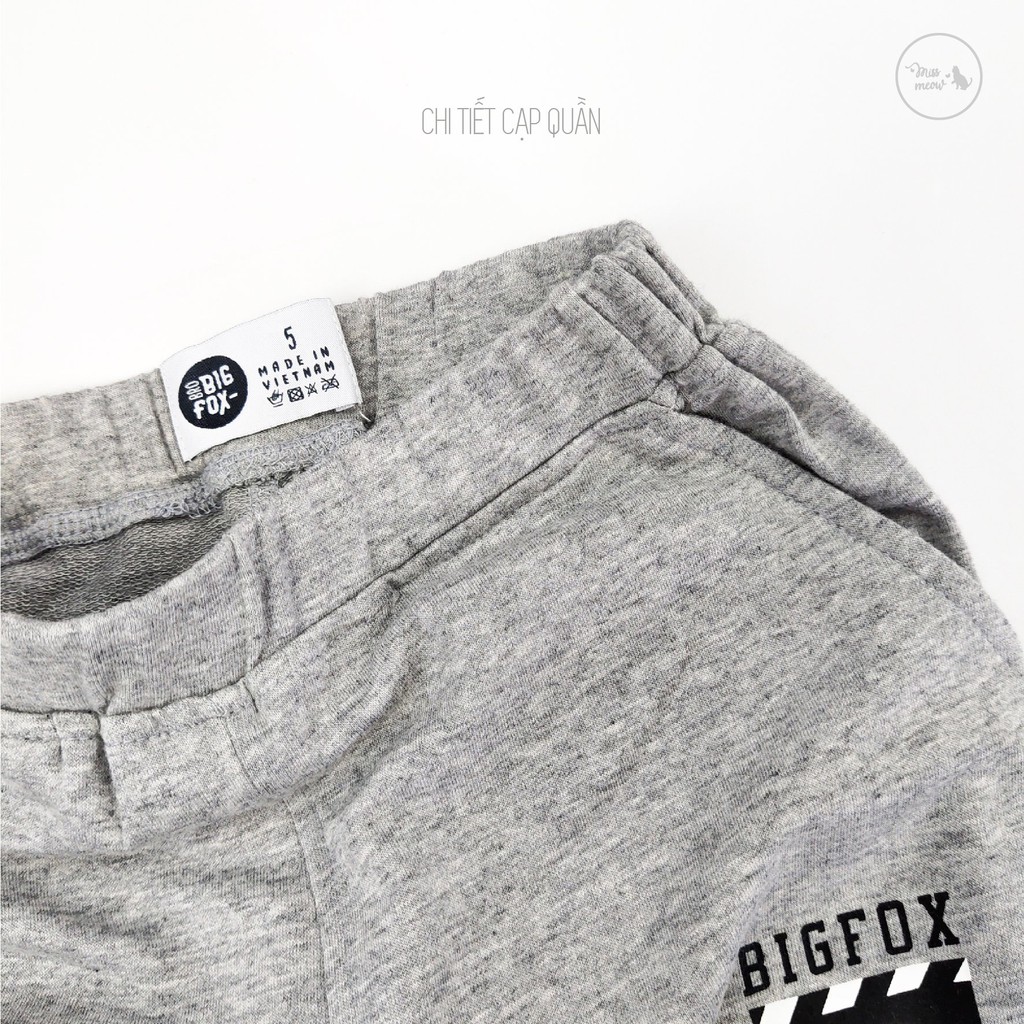 [Made in Vietnam] Bộ dài tay bé trai BIGFOX - MISS MEOW size đại, bộ thu đông cho Bé chất cotton in phối 3 màu 3-11 tuổi