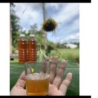 Mật ong rừng nguyên chất 0,5lít