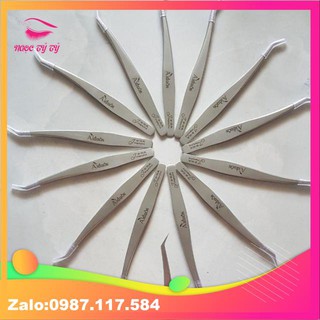 Nhip volum 2d-4d