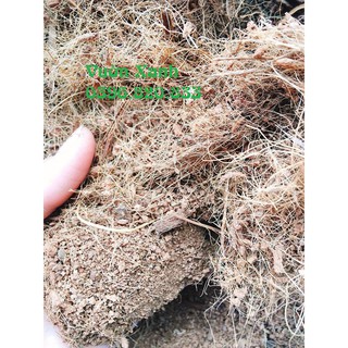 sale off Mụn xơ dừa dùng trồng rau, cây cảnh, phong lan ... 1kg hàng chuẩn cty.