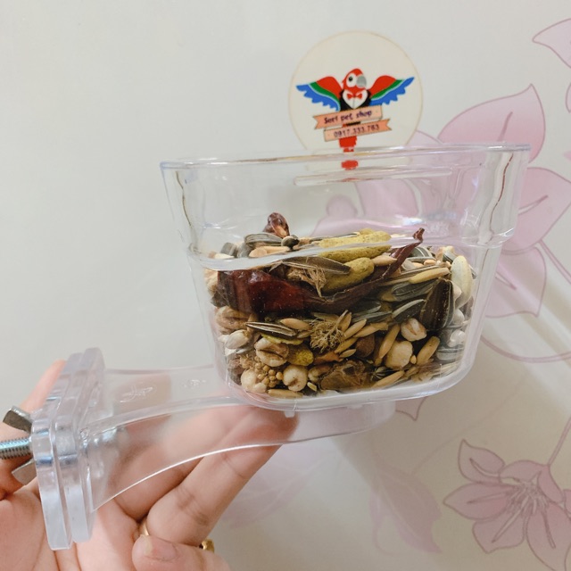 Hộp đựng thức ăn cho Vẹt