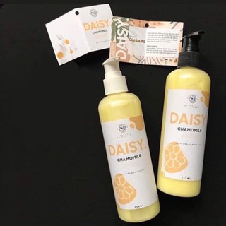 Dầu gội daisy chamomile