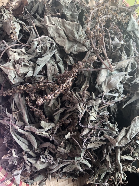Hương nhu tía 50g (ngọn khô)