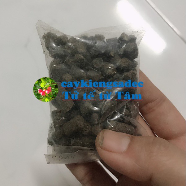 Caykiengsadec - Phân hữu cơ tan chậm-hoa kiểng lá-trang trí nội thất cảnh quan sân vườn ngoài trời