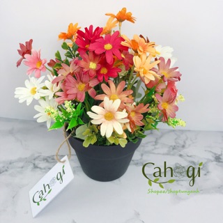 Hoa giả- Chậu hoa cúc nhỏ Vintage cắm sẵn