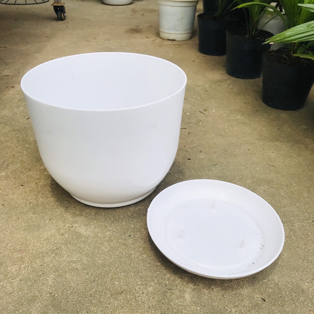 Chậu trồng cây giả sứ để bàn kèm đĩa lót, 2 kích thước hàng loại 1