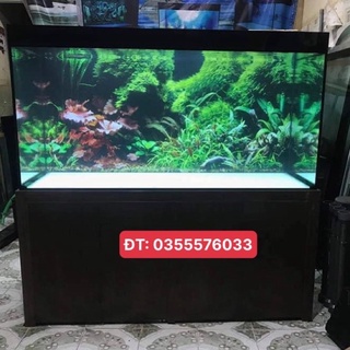 Tranh 3D - phông nền dán hồ cá, bể thuỷ sinh siêu đẹp và nét, có keo sẵn trên bề mặt, có thể in theo kích thước yêu cầu